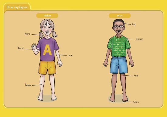 Picture of Afrikaans Sonder Grense Klankeprogram Eerste Addis