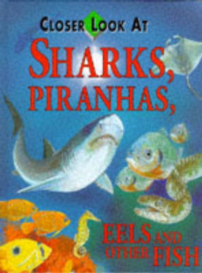 Picture of Closer Look at Sharks, Piranhas, Eels and Other Fi