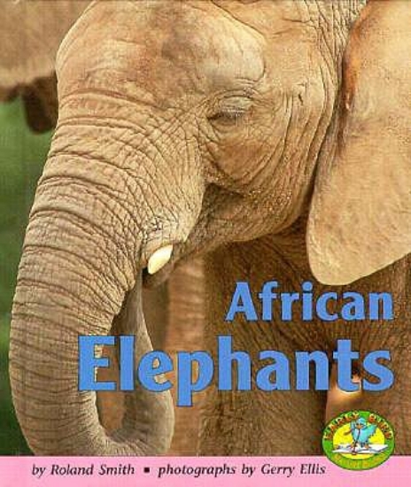 Picture of African Elephants
