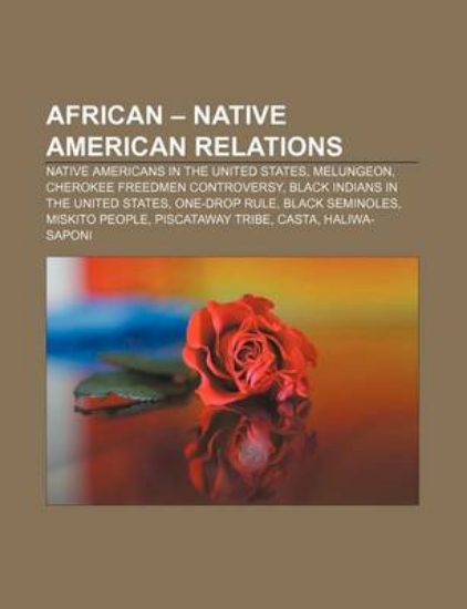 Picture of African - Native American Relations