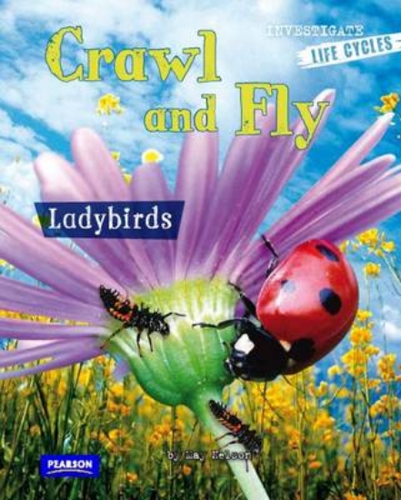 Picture of Crawl and Fly