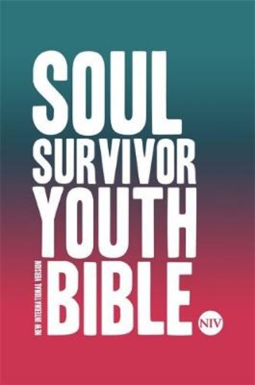Picture of NIV Soul Survivor Youth Bible Hardback