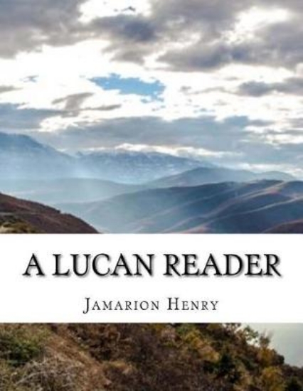 Picture of A Lucan Reader