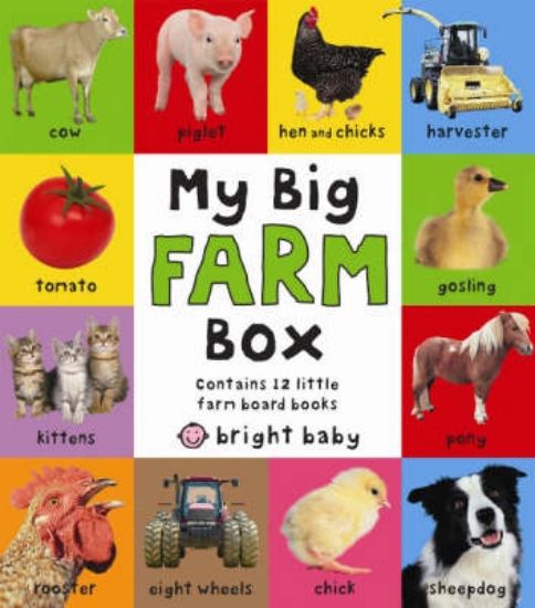 Picture of My Big Farm Box