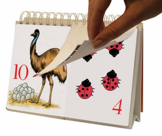 Picture of 123 Flip Chart