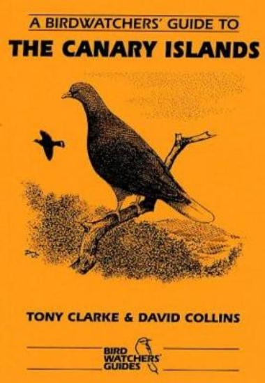 Picture of A Birdwatchers' Guide to the Canary Islands